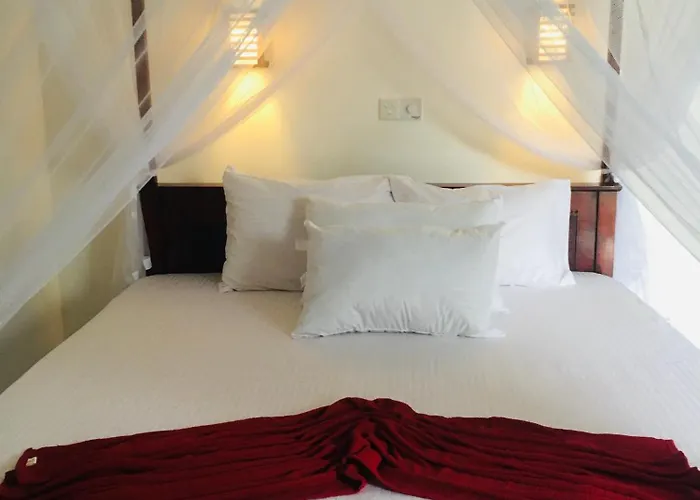 Anthony Guesthouse