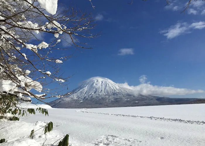 Andaru Collection Niseko