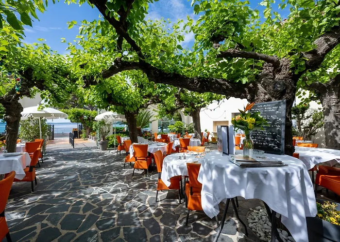 Logis Hôtel le Provencal Rest les Mûriers