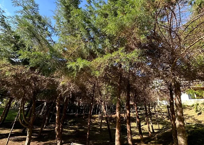 Eco Hotel Terrabella