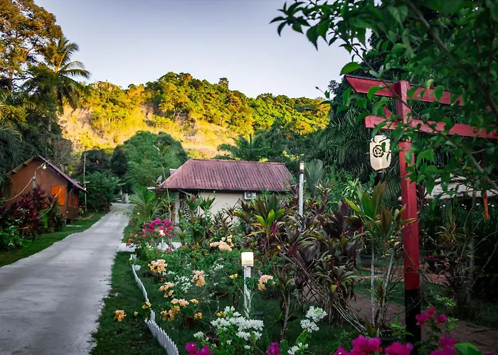 Timba Garden Free Town And Jetty Transport
