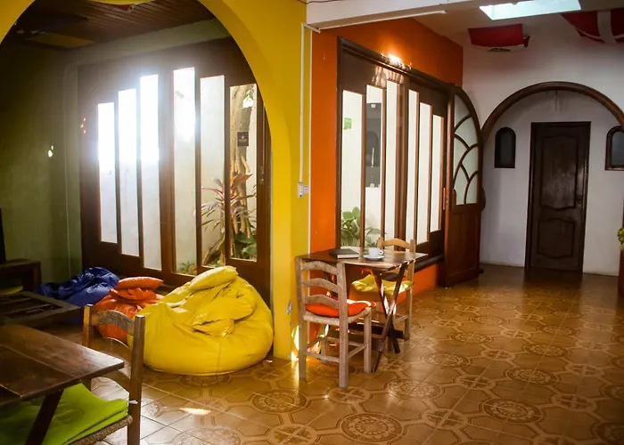 Geckos Hostel