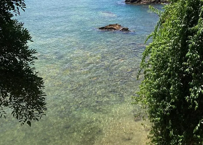 Alibaba'S Seabreeze