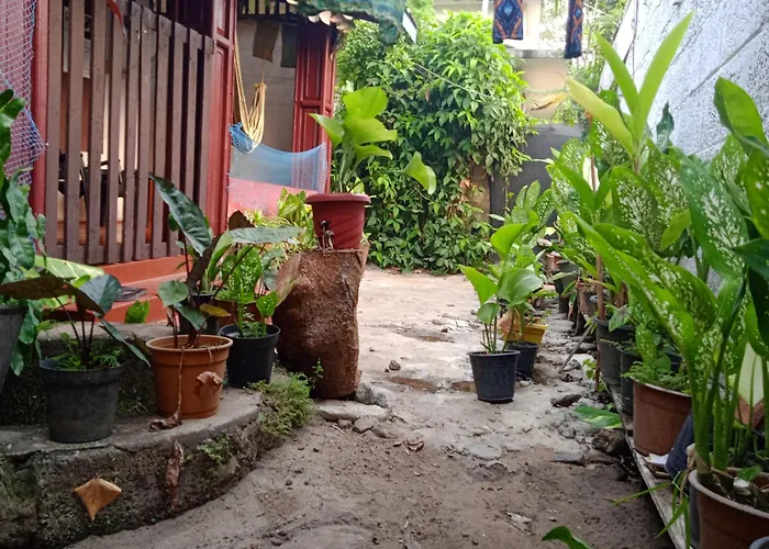 The Blues Hostel