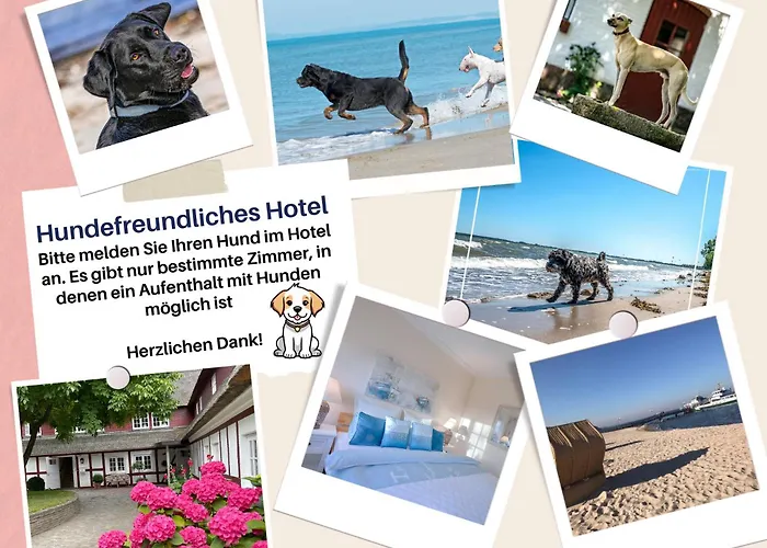 Hof Norderlück - Das Ostseehotel unter Reet