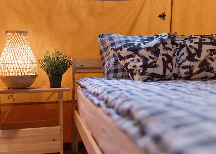 Camp Bursztynowy Las