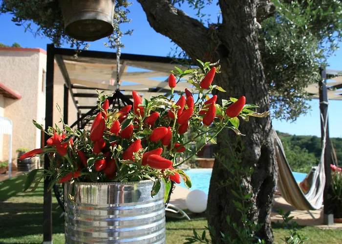 Il Podere Dell'Angelo Old Country House