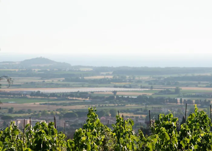 Castello Bonaria Wine & Spa Resort