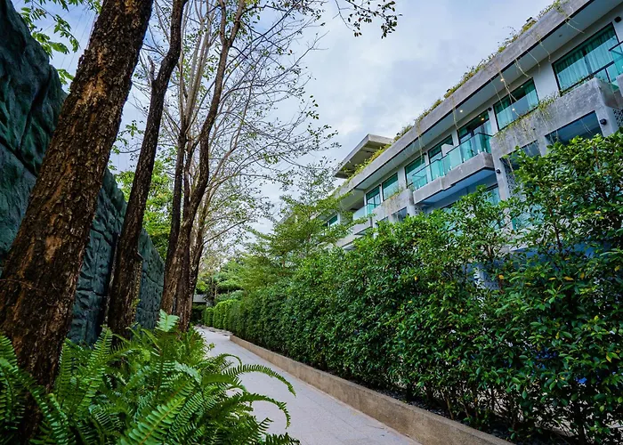 Rainforest Hotel By Nsun