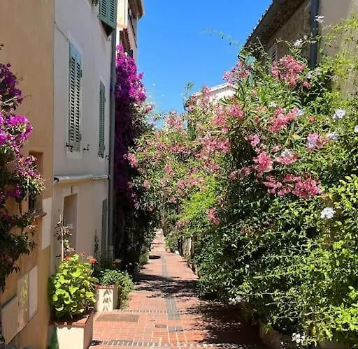 Strelizia - New Central Old Antibes For 4 Ac