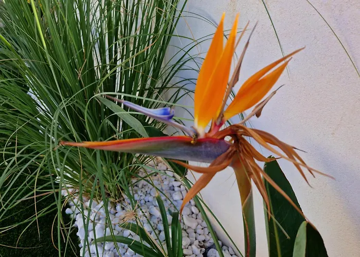 Résidence Papillon