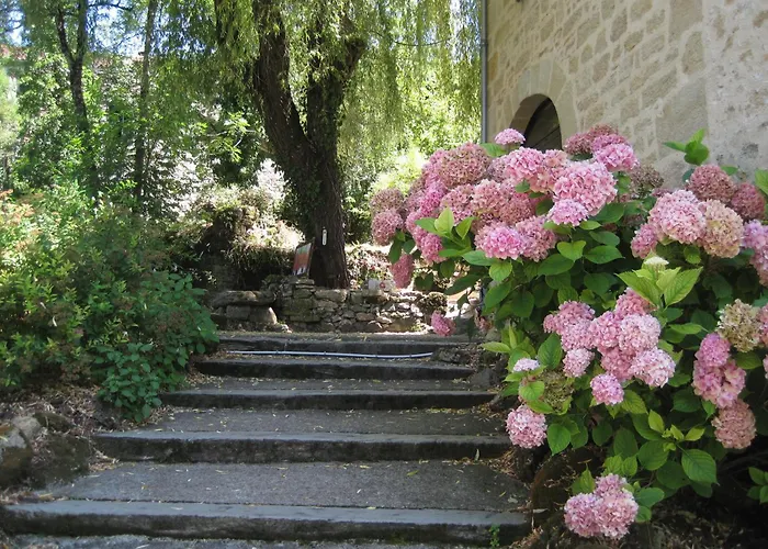 Hôtel Restaurant Le Mûrier de Viels - Figeac Grand