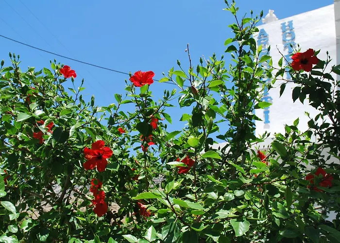Afroditi Hotel
