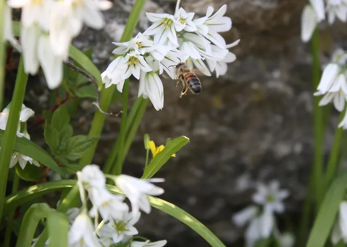 L'Antico Borgo B&B