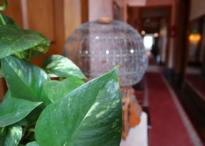 Alegre - Bussaco Boutique Hotel