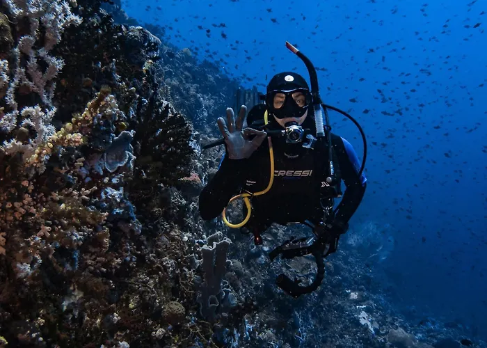 Badladz Beach And Dive Resort