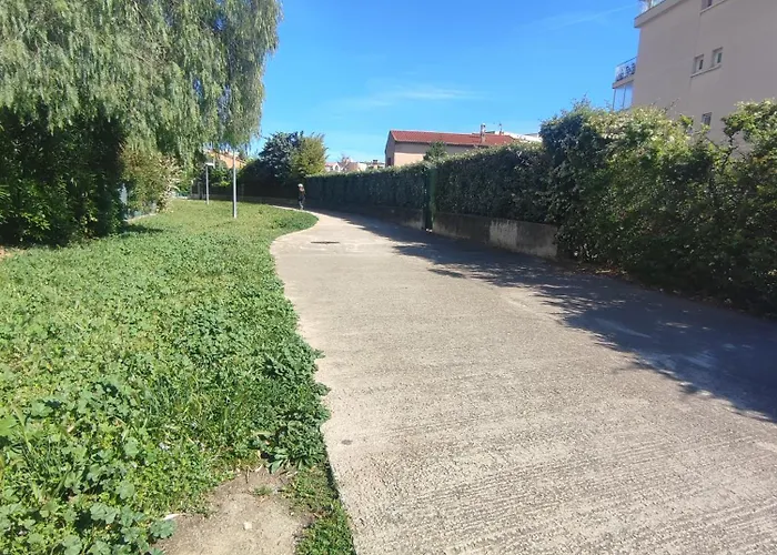 Benvengudo A Freju
