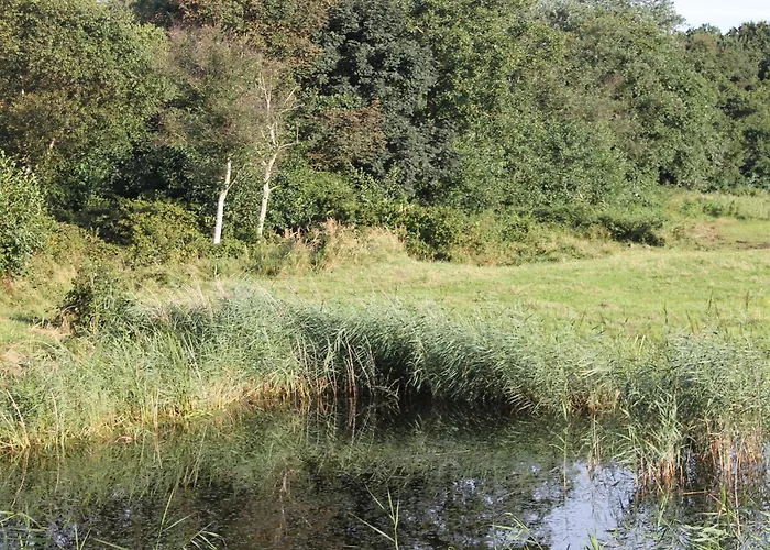 Bosch Duin Strand
