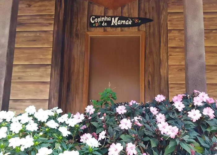 Fazenda Morro Pelado
