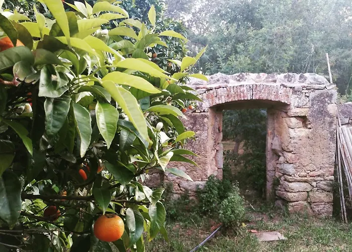 Casa Orsoni