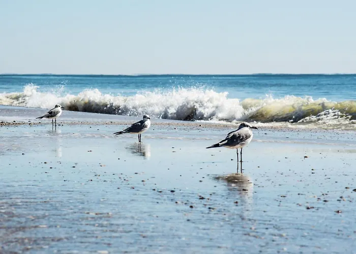 The Beach Is Only Steps Away