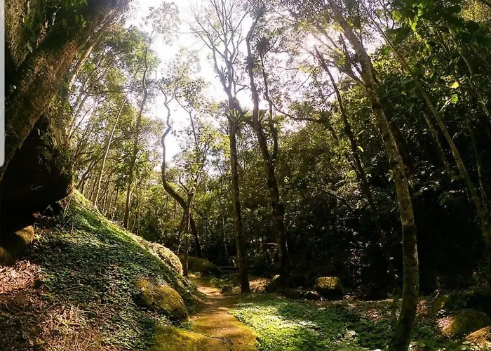 Pousada Caminhos de Gaia