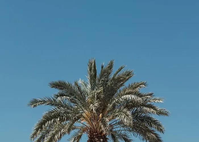 Los Bungalows Del Arenal