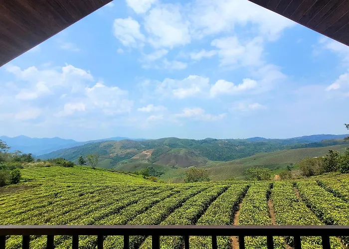 Cloud Canopy - Tea Garden Family Pool Cottage In Vagamon