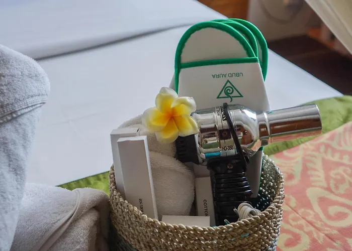 Ubud Aura Wellness Sanctuary