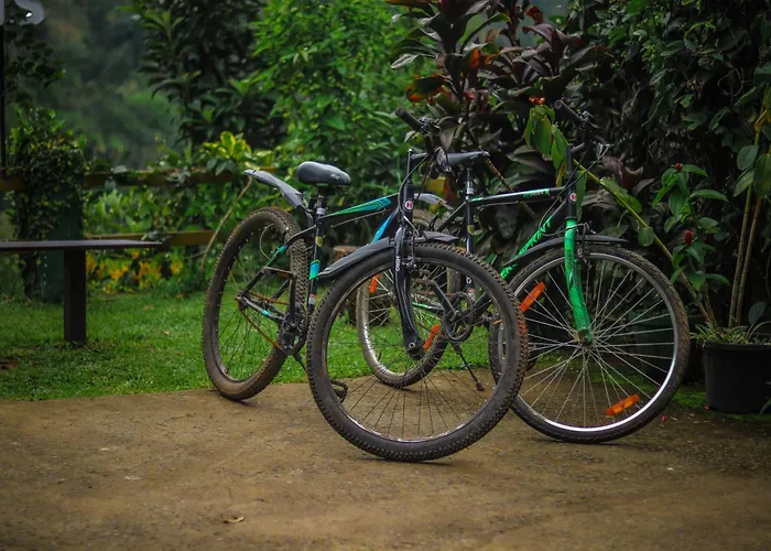 Edens Munnar