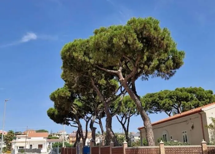Il Sogno di Calipso
