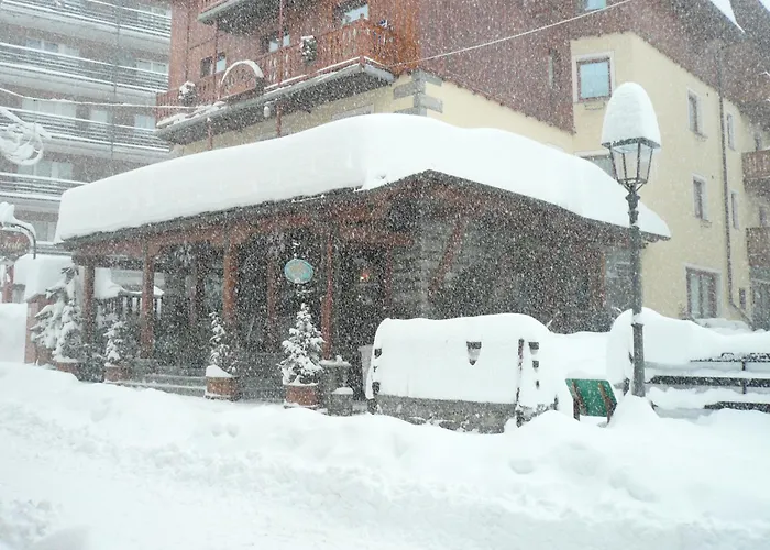 Hotel Mignon