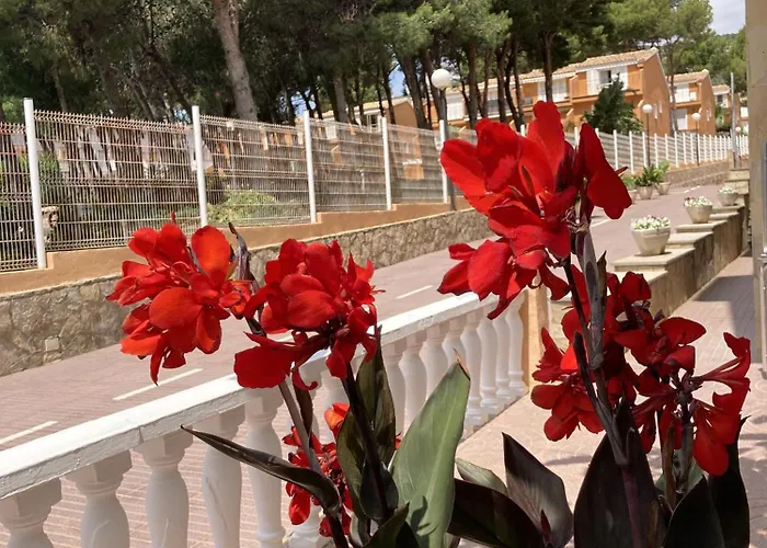 Hotel Sancho III