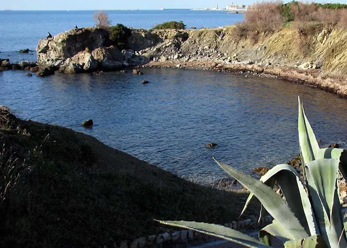 Casa Sandra Appartamento A 100 Mt Dal Mare