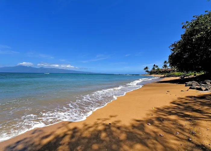 Amazing Sunsets Oceanfront Views - Indigomaui -