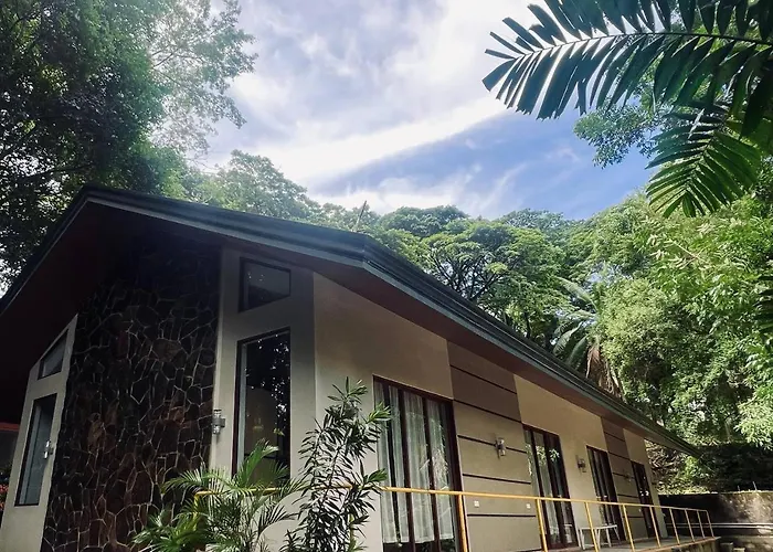 Momarco Forest Cove