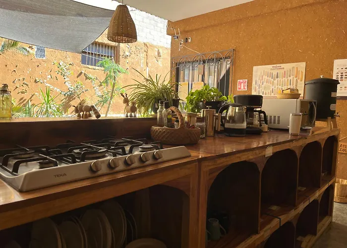 Niyana Oaxaca