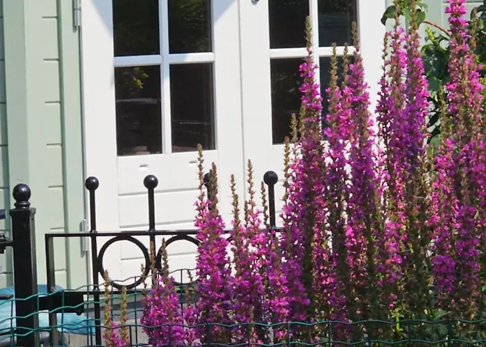 Romantisch Huisje Julianadorp