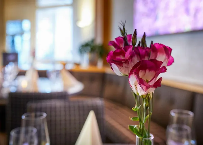 Hotel Pergola im Göbels Hotel Rodenberg