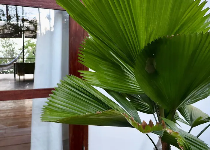 Villa Luzo & Tours