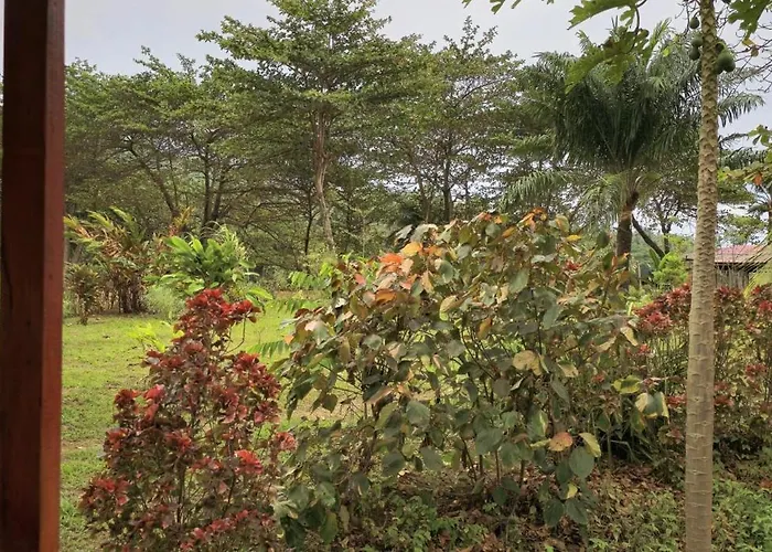 Gombela Ecolodge And Farming