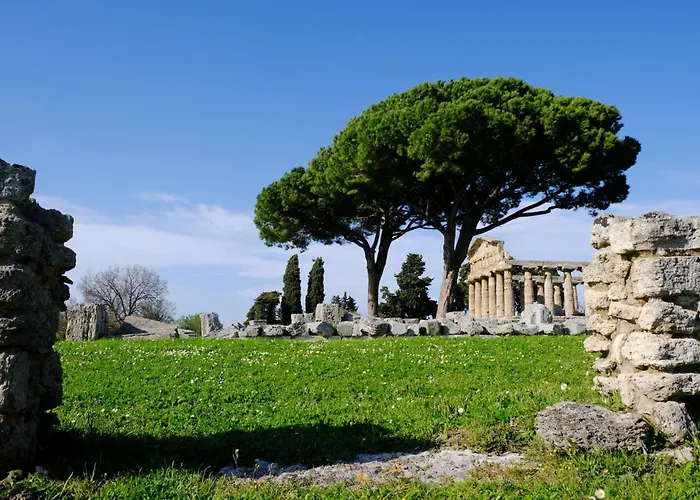 La Laura di Paestum - case vacanze