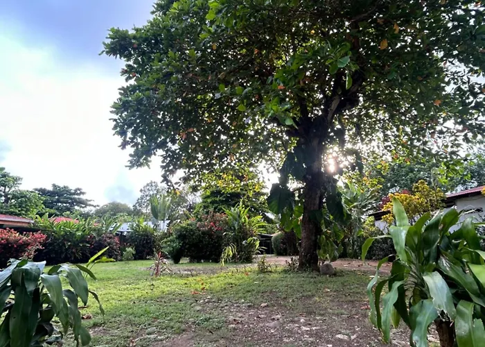 Ballena Oasis Homes & Glamping