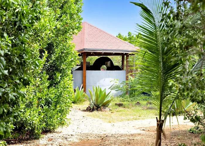Red Palm Village