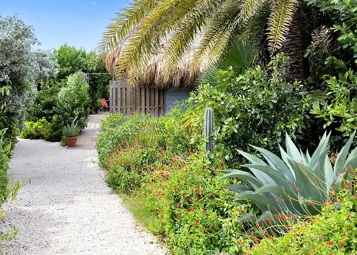 Red Palm Village