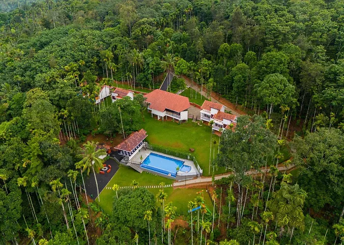 Theyila Wayanad Premium Pool Resort