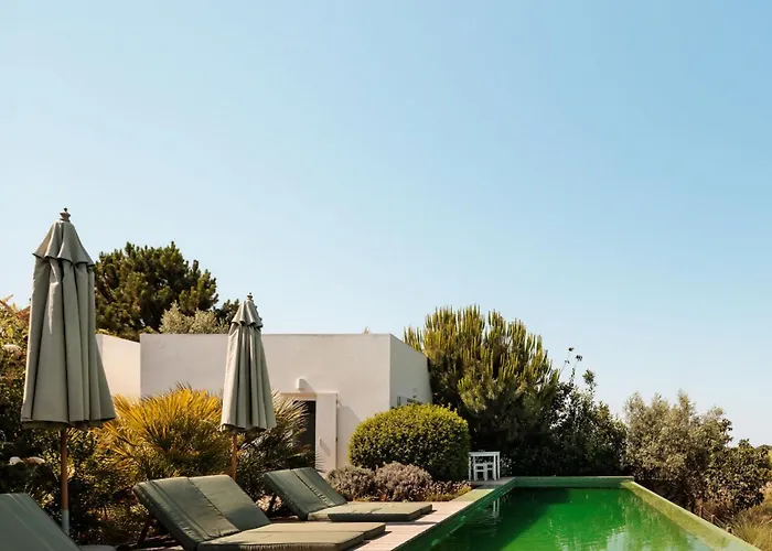 Casas De Arroz