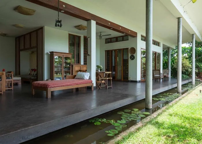 Mango Hill Auroville Pondicherry