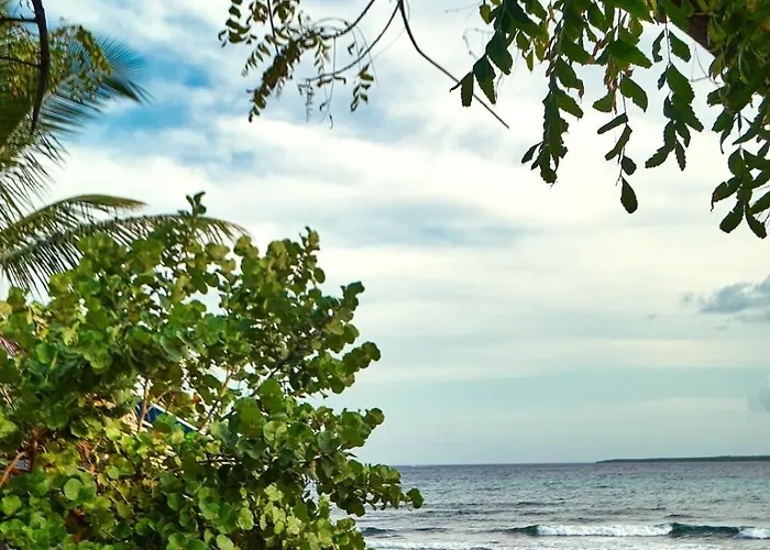 A Caribbean-Style Rebirth, 2 Minutes From The Beach