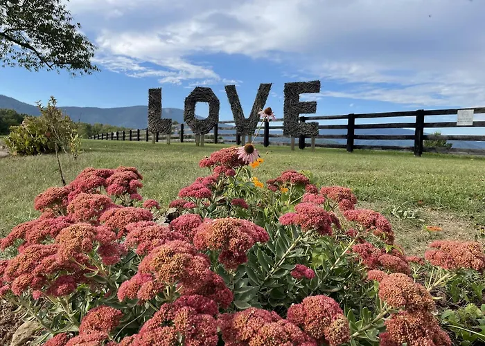 Montfair Resort Farm